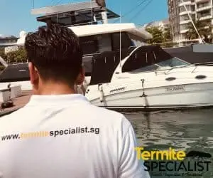 termite specialist pte ltd