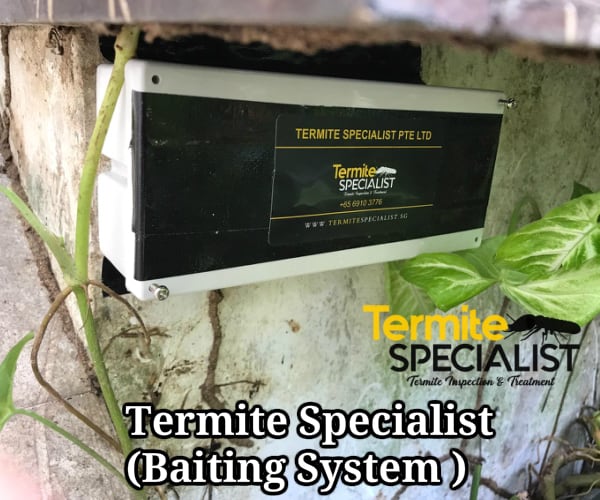 Termite Baiting Singapore