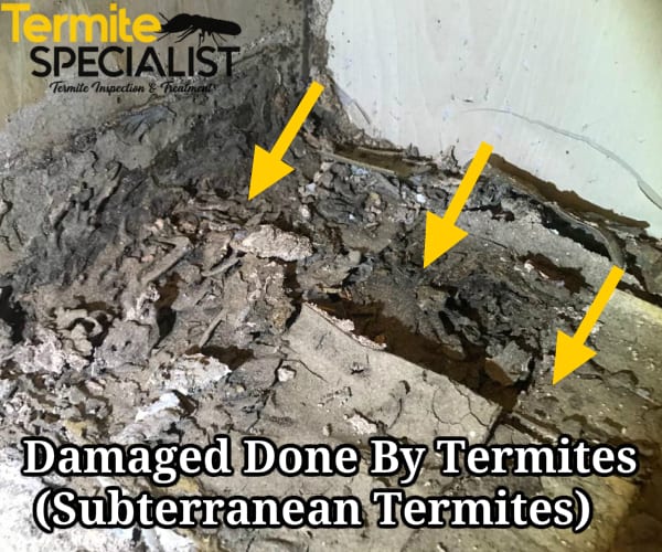 Damage Done By Termites