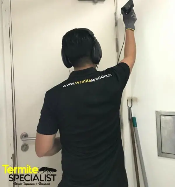 termite Control Singapore