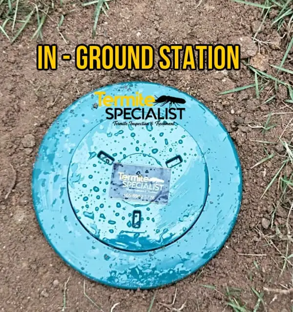 Termite Monitoring Station
