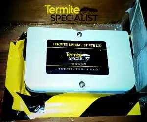 Termite Control Singapore