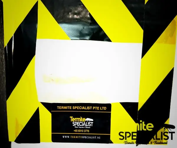 Termite Control Singapore