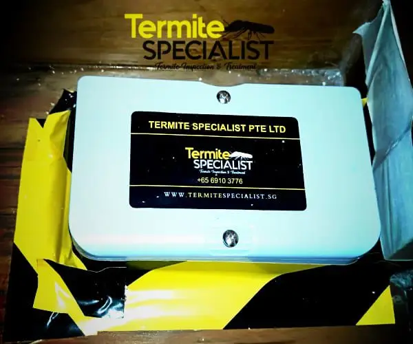 Termite Control Singapore