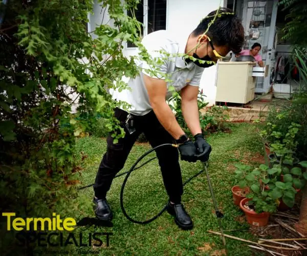 Termite Soil Treatment