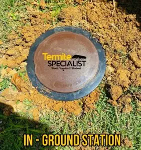 A photo of Termite Inground Station