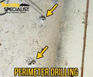 Termite Specialist Corrective Treatment