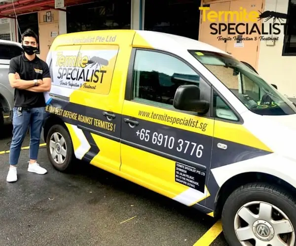 Termite Control Singapore