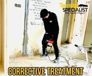 Singapore White Ant Treatment