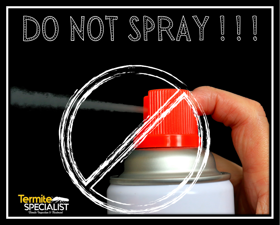 Do not spray photo that uses for what termite damage look like blog post 