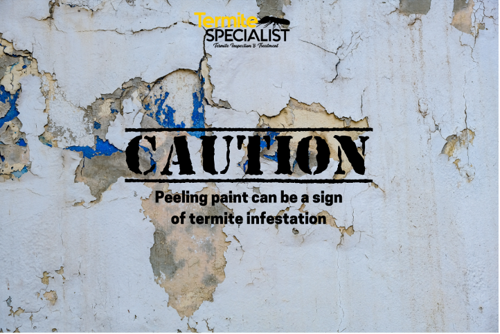 7 - peeling paint and drywall damage