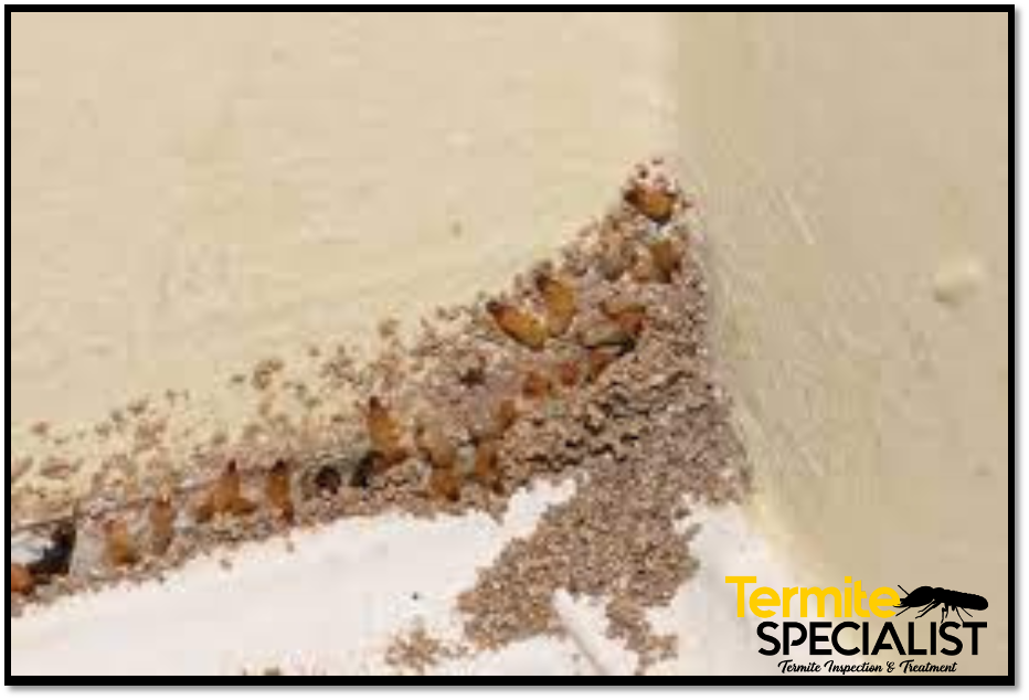 2- openings and cracks in property