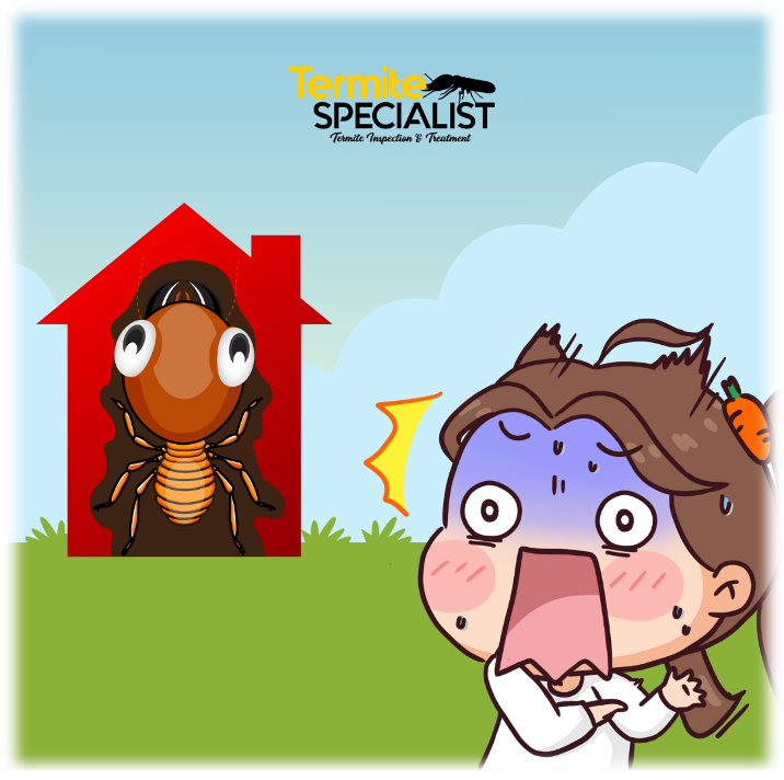 3 - failure to get termite inspection