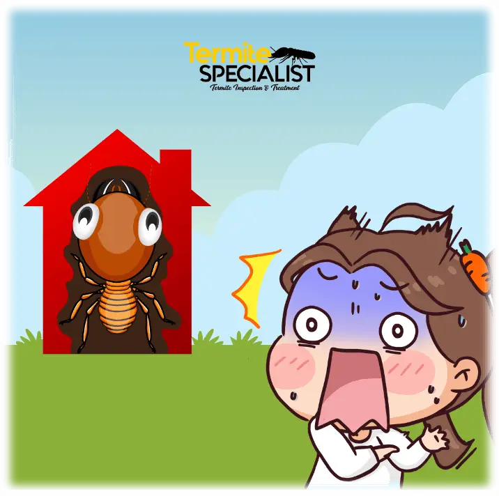 3 - failure to get termite inspection