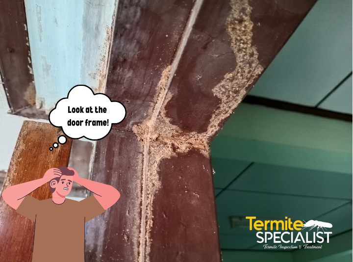 4 - crumbling wood on door frame