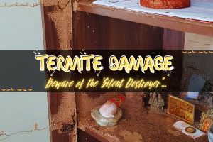 what-termite-damage-looks-like-featured-image
