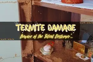what-termite-damage-looks-like-featured-image