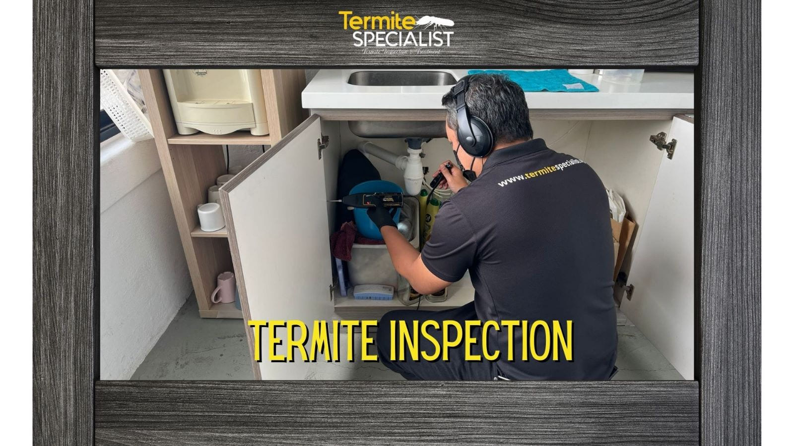 Get a professional to conduct a termite inspection.