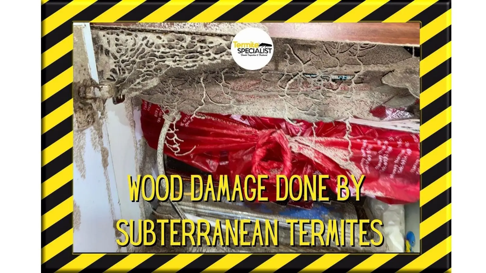 Subterranean termite wood damage