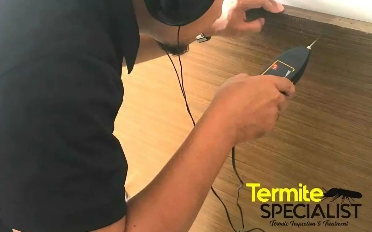 Termite Control Singapore