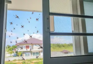 How-to-Get-Rid-of-Mosquitoes-in-the-Room-Fast-and-Naturally.jpg