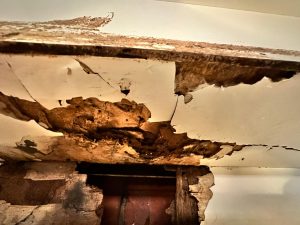 Signs of Termites in the Attic