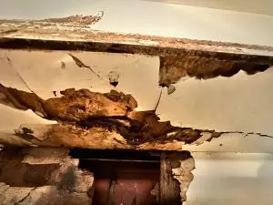 Signs of Termites in the Attic