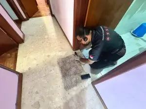 Signs of termites in the floor in Singapore