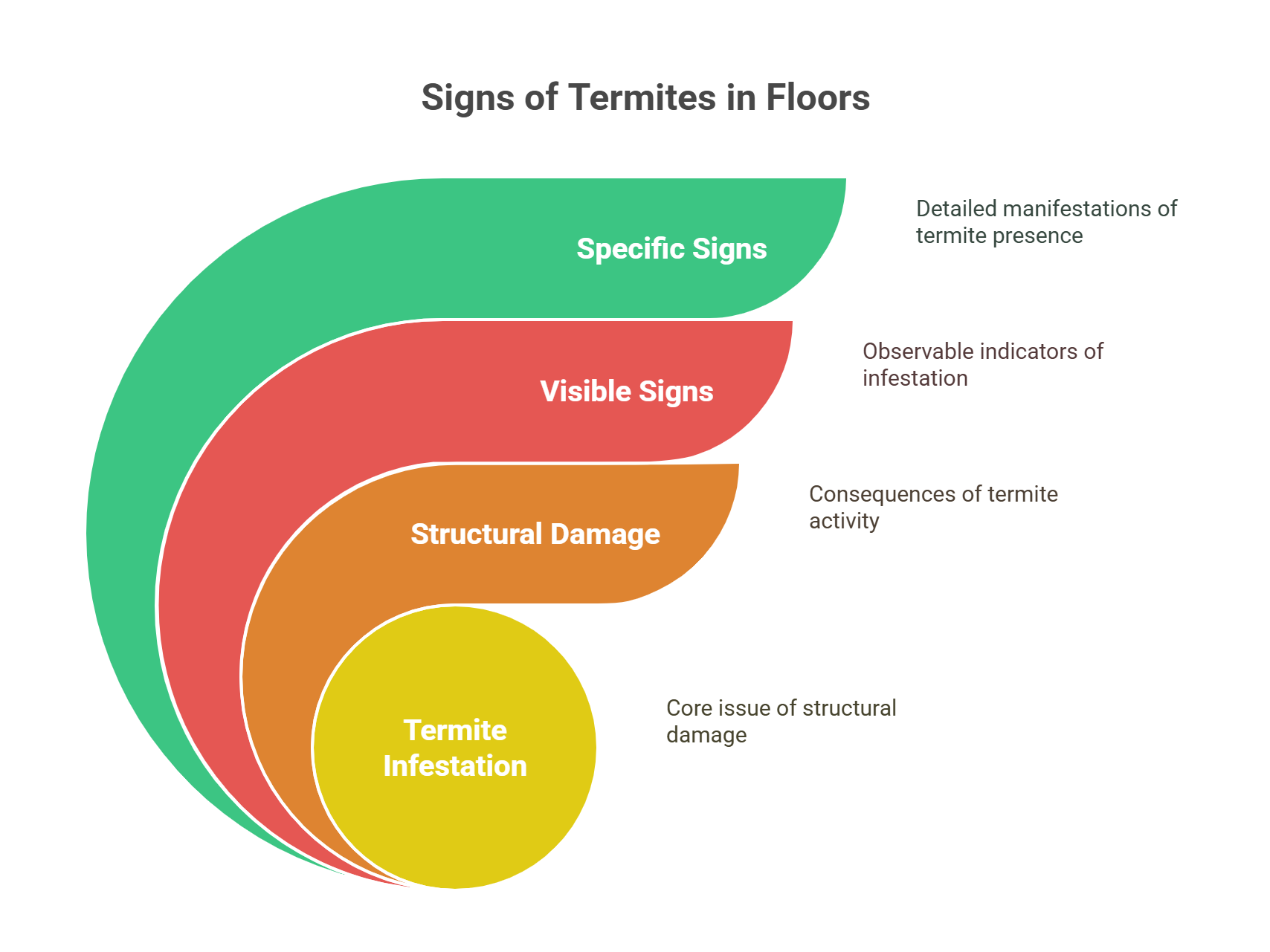 10 Common Signs of termites in the floor visual