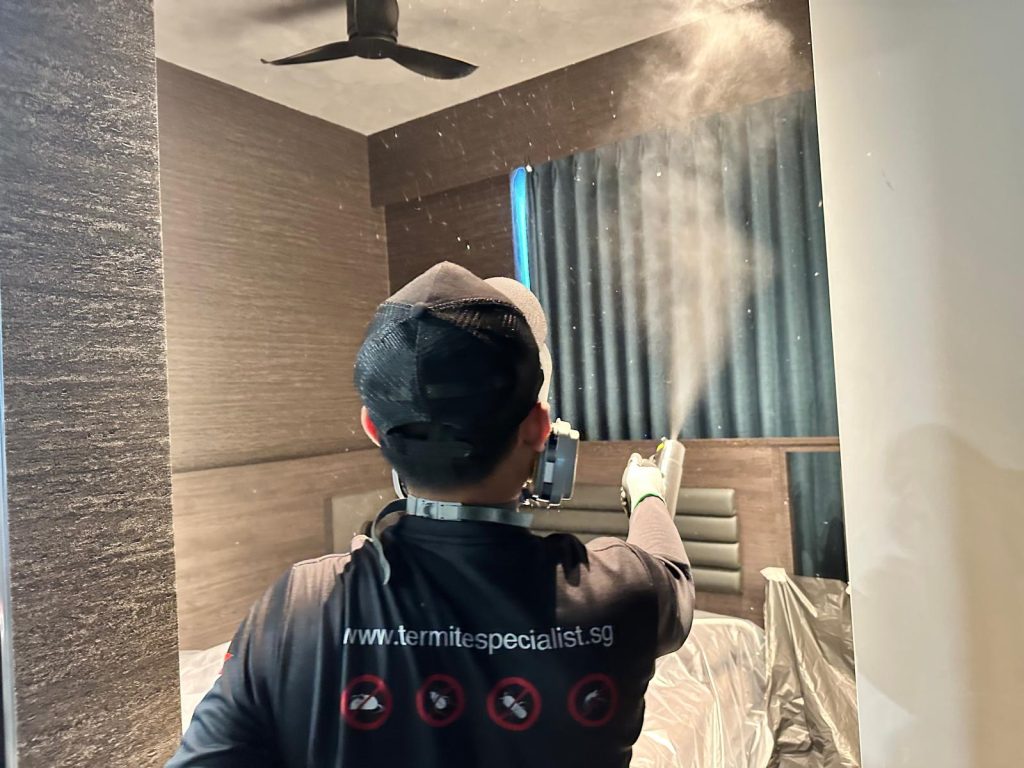 How-to-Check-for-Termites-in-Singapore