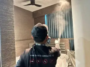 How-to-Check-for-Termites-in-Singapore