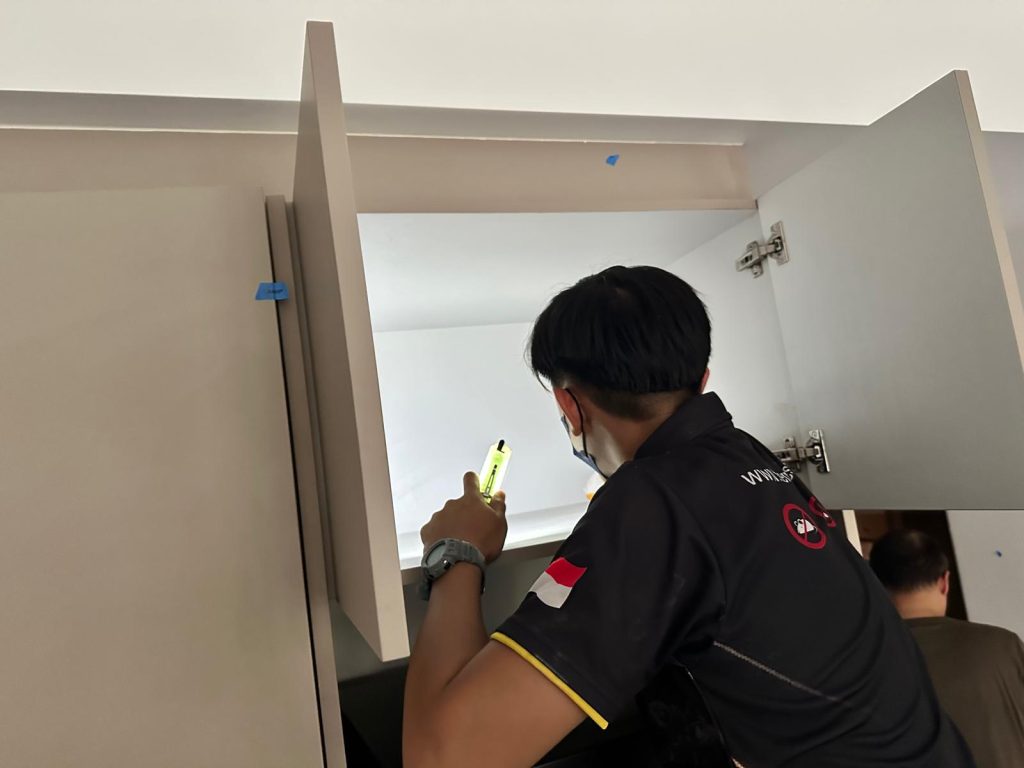 An expert from Termite Specialist showing How to get rid of termites in Singapore