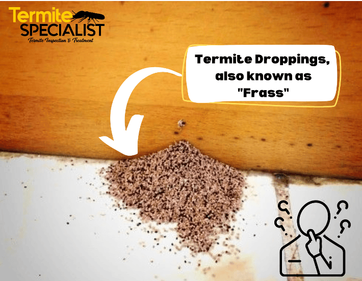 7-Signs-of-Termites-10
