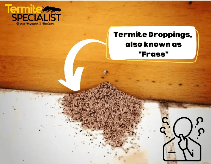 7-Signs-of-Termites-10