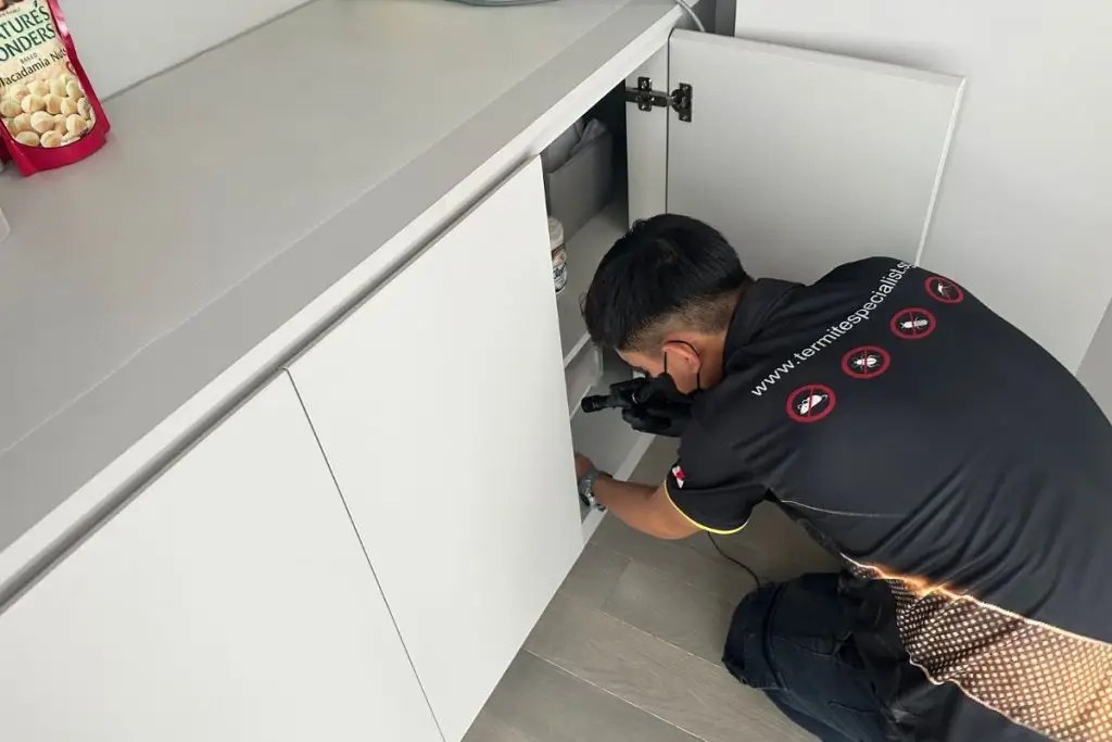 Mosquito Pest Control in Singapore