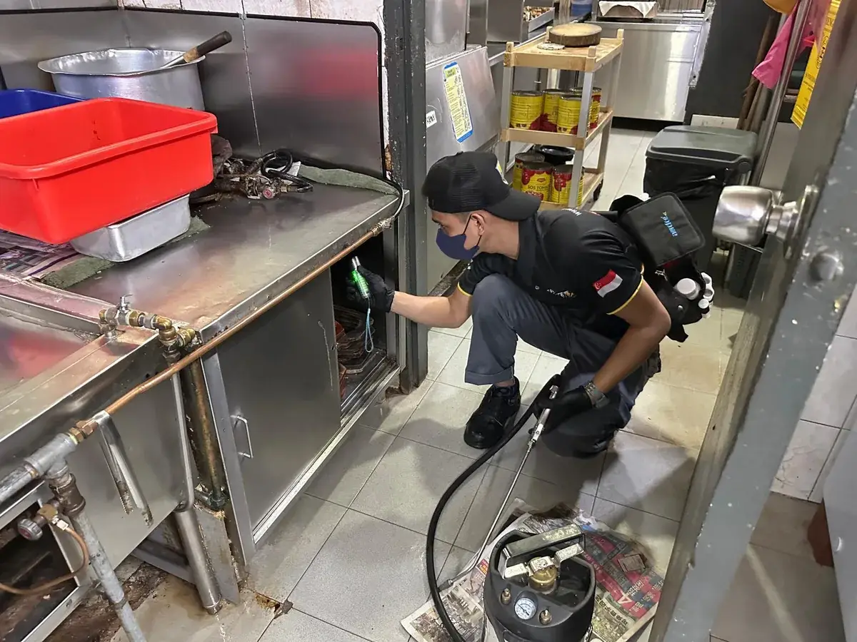 Technician inspecting restaurant kitchen pest harbourage areas in Singapore